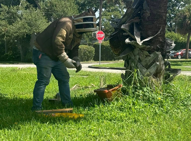 Why 'Live Removal' Matters for Your Garden and Your Table