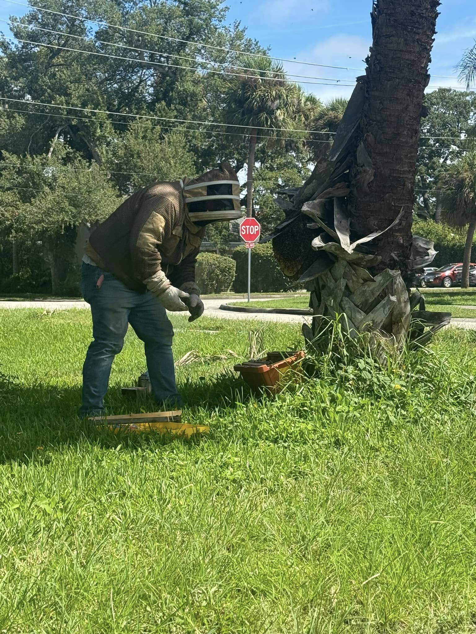 Why 'Live Removal' Matters for Your Garden and Your Table